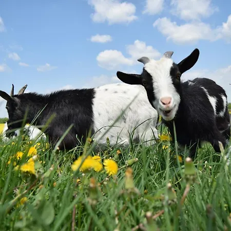 Letniskowe Nad Lakami Prázdninový dům