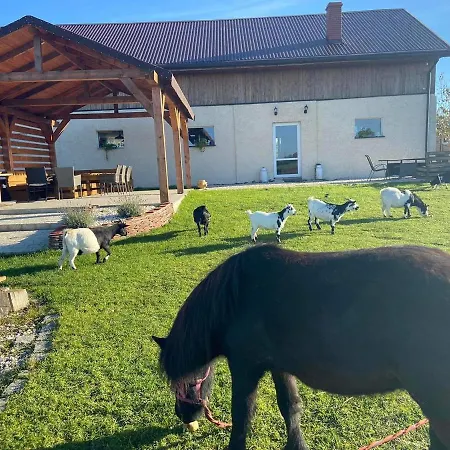 Prázdninový dům Letniskowe Nad Lakami Kladsko