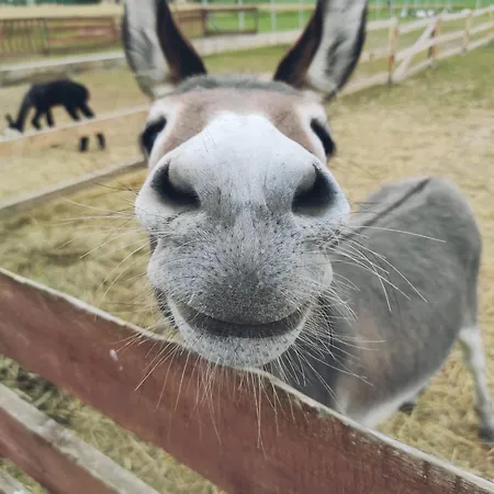 Letniskowe Nad Lakami * Kladsko