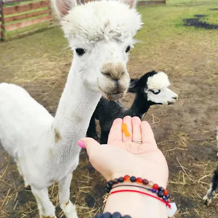 Prázdninový dům Letniskowe Nad Lakami *