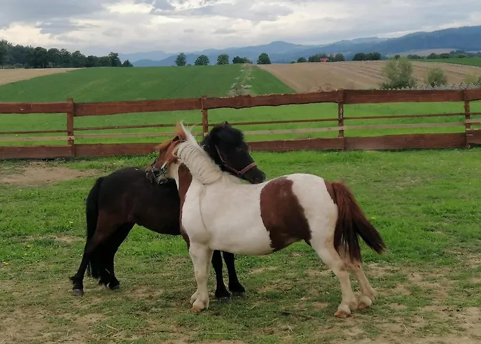 Letniskowe Nad Lakami Klodzko