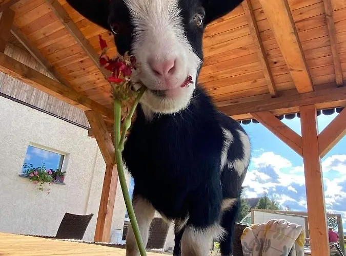 Holiday home Letniskowe Nad Lakami Klodzko