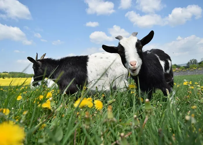 Letniskowe Nad Lakami Holiday home