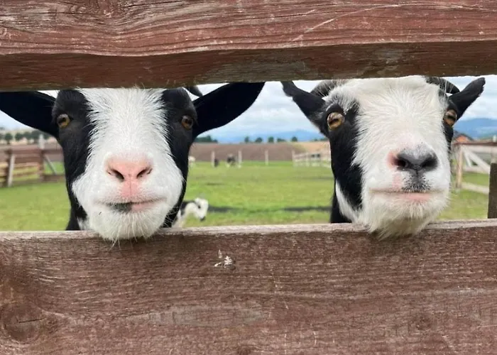 Letniskowe Nad Lakami * Klodzko