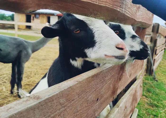 Holiday home Letniskowe Nad Lakami Klodzko