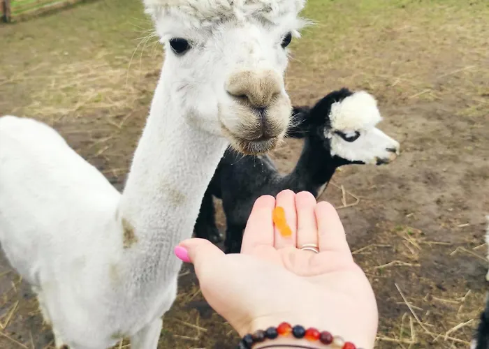 Holiday home Letniskowe Nad Lakami *