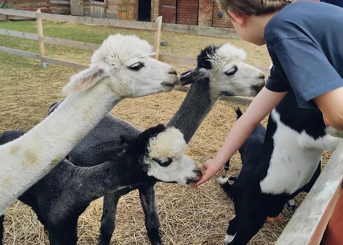 Letniskowe Nad Lakami Holiday home Klodzko